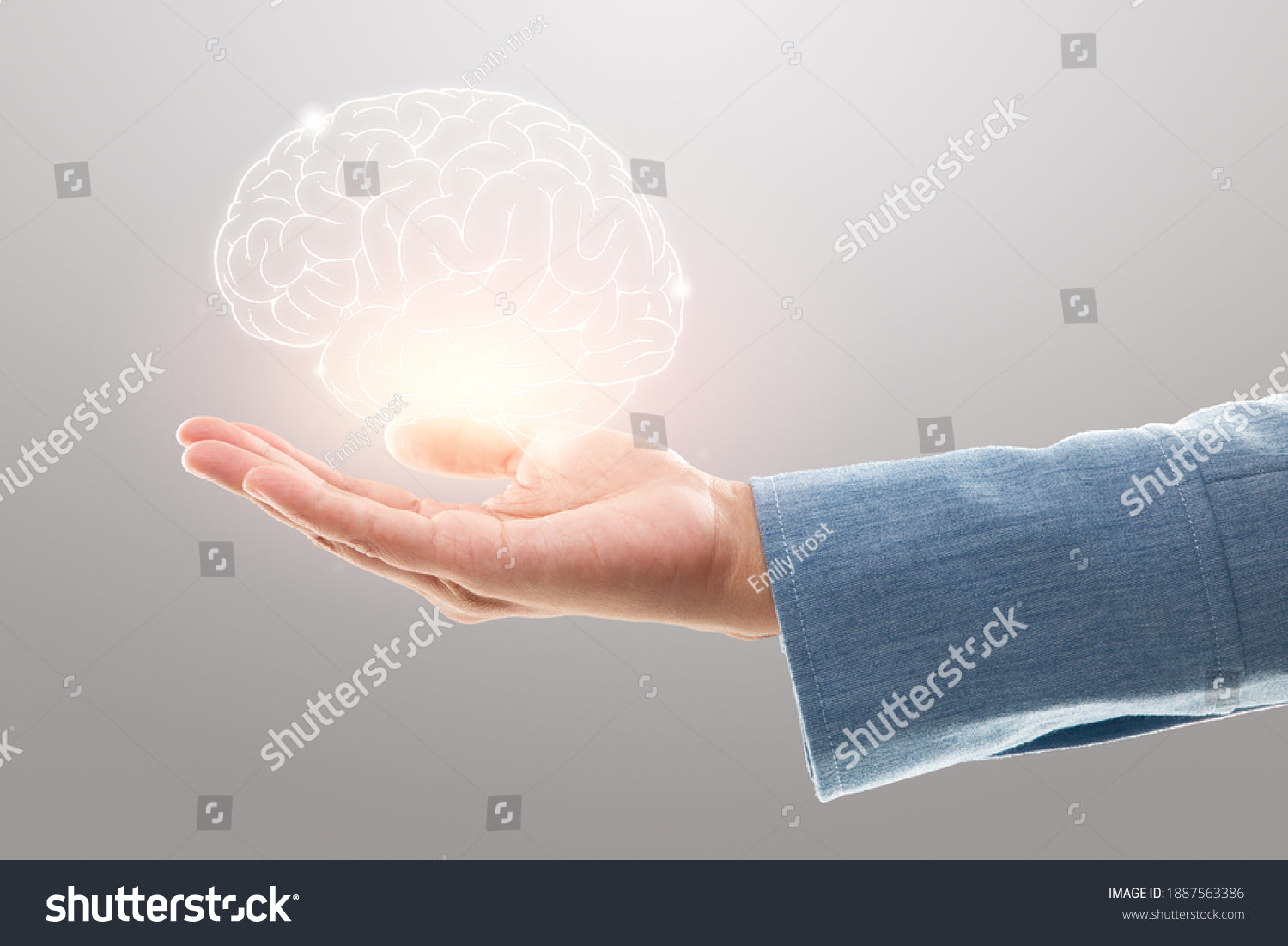 Alt image